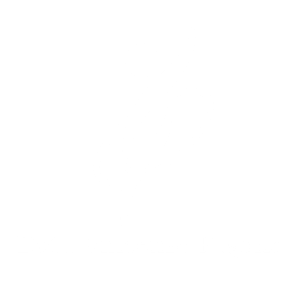 logo dott vincenzo pagano bianco